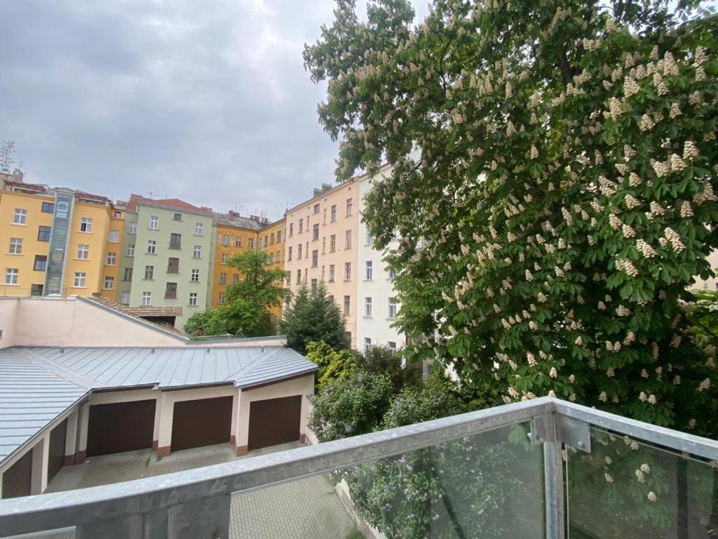 Designed Apartment Next To Vaclav Square With Terrace And Private Garage Praha Eksteriør bilde
